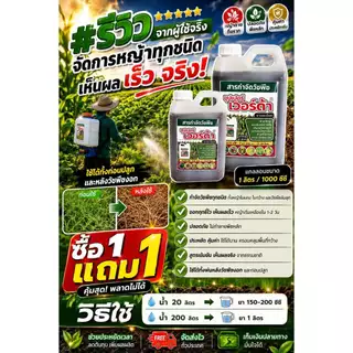 ซุปเปอร์ เวอร์ด้า ยาฆ่าหญ้าอินทรีย์แท้ 100% ซื้อ 1 แถม 1 สูตรแรง เห็นผลไว ไม่มีกลิ่นฉุน ฉีดครั้งเดียวช่วยลดปัญหาหญ้ารก