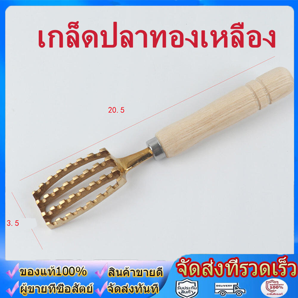 ที่ขูดเกล็ดปลา ที่ขอดเกล็ด สแตนเลส เครื่องใช้ในครัว Fish scale scraper