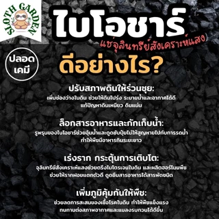 [ส่งเร็ว] ถ่านไบโอชาร์ หมักจุลินทรีย์สังเคราะห์แสง ปลอดเคมี เพิ่มรูพรุนในดิน ล็อกสารอาหาร พืชโตไว รากเดินดี PSB Biochar