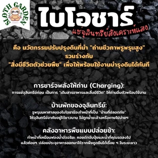 [ส่งเร็ว] ถ่านไบโอชาร์ หมักจุลินทรีย์สังเคราะห์แสง ปลอดเคมี เพิ่มรูพรุนในดิน ล็อกสารอาหาร พืชโตไว รากเดินดี PSB Biochar
