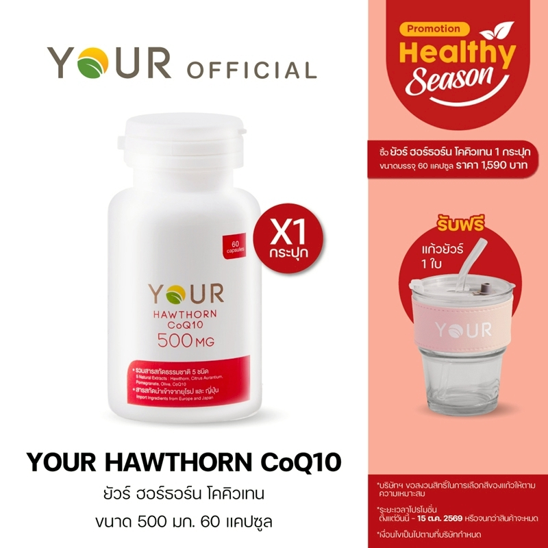 YOUR Hawthorn CoQ10 (ยัวร์) ฮอร์ธอร์น โคคิวเท็น เข้มข้น 500 มก. 60 แคปซูล 1 กระปุก ส่งฟรี+ผ่อนได้-020600001