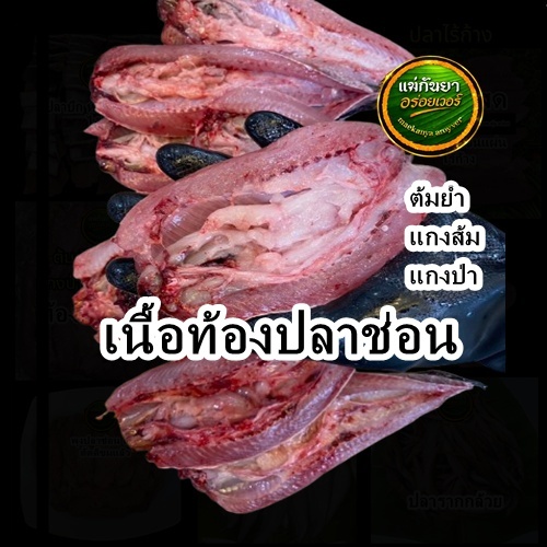 เนื้อท้องปลาช่อน สด ปลาน้ำจืด ส่วนที่อร่อยที่สุดของตัวปลาช่อน หากินยาก 1 ตัว มีชิ้นเดียว ต้มยำ แกงส้ม ทอดน้ำปลา