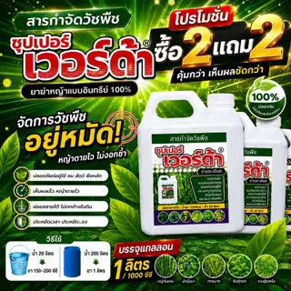 💥 ซุปเปอร์ เวอร์ด้า อินทรีย์ 100% โปรซื้อ 2 แถม 2 ฉีดง่าย หญ้าตายเรียบ เห็นผลเร็ว