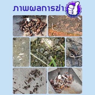 ยาฆ่าหอยทาก เมทัลดีไฮด์ Metaldehyde เหยื่อหอยทากฆ่าหอยทากได้ทุกชนิด กำจัดหอยทากได้อย่างมีประสิทธิภาพ 100%