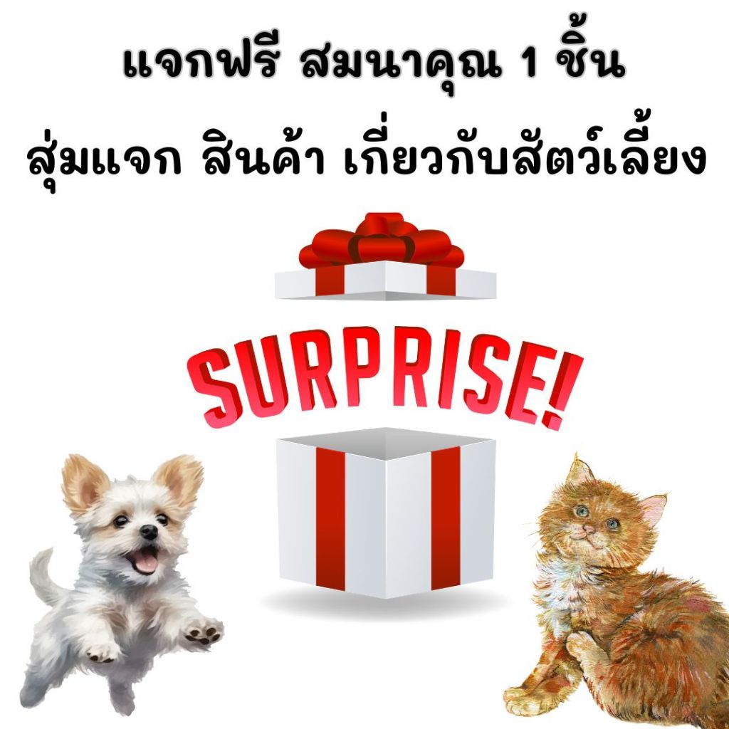 ห้ามกดสั่งซื้อ **แถมฟรี  1 ชิ้น ตามเงื่อนไข** สุ่มแจก สินค้า เกี่ยวกับสัตว์เลี้ยง