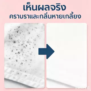 น้ำยาขจัดเชื้อราบนเสื้อขาว 500ml Mold Remover ผ้าขาวขึ้นรา ผ้าม่าน ผ้าปูที่นอน โซฟา ที่นอน เต็นท์ กำจัดการขึ้นราอย่างเร็