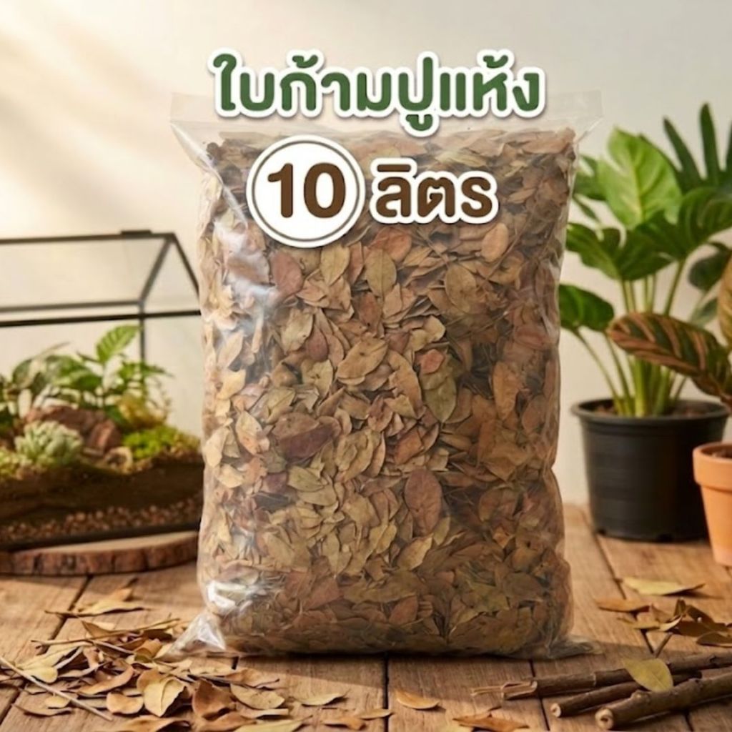 ใบก้ามปูแห้ง 10 ลิตร สำหรับบอนไซ แคคตัส ไม้ด่าง ดินโปร่งรากเดินดี
