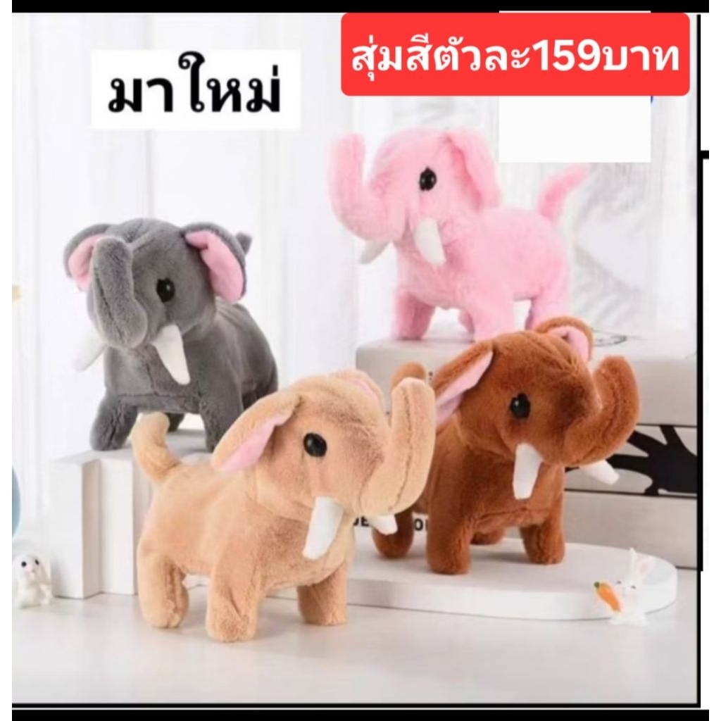 น้องช้าง--กระรอก-ลิงแม่ลูก-ลิงสีรุ้งสีสุ่มนะครับ