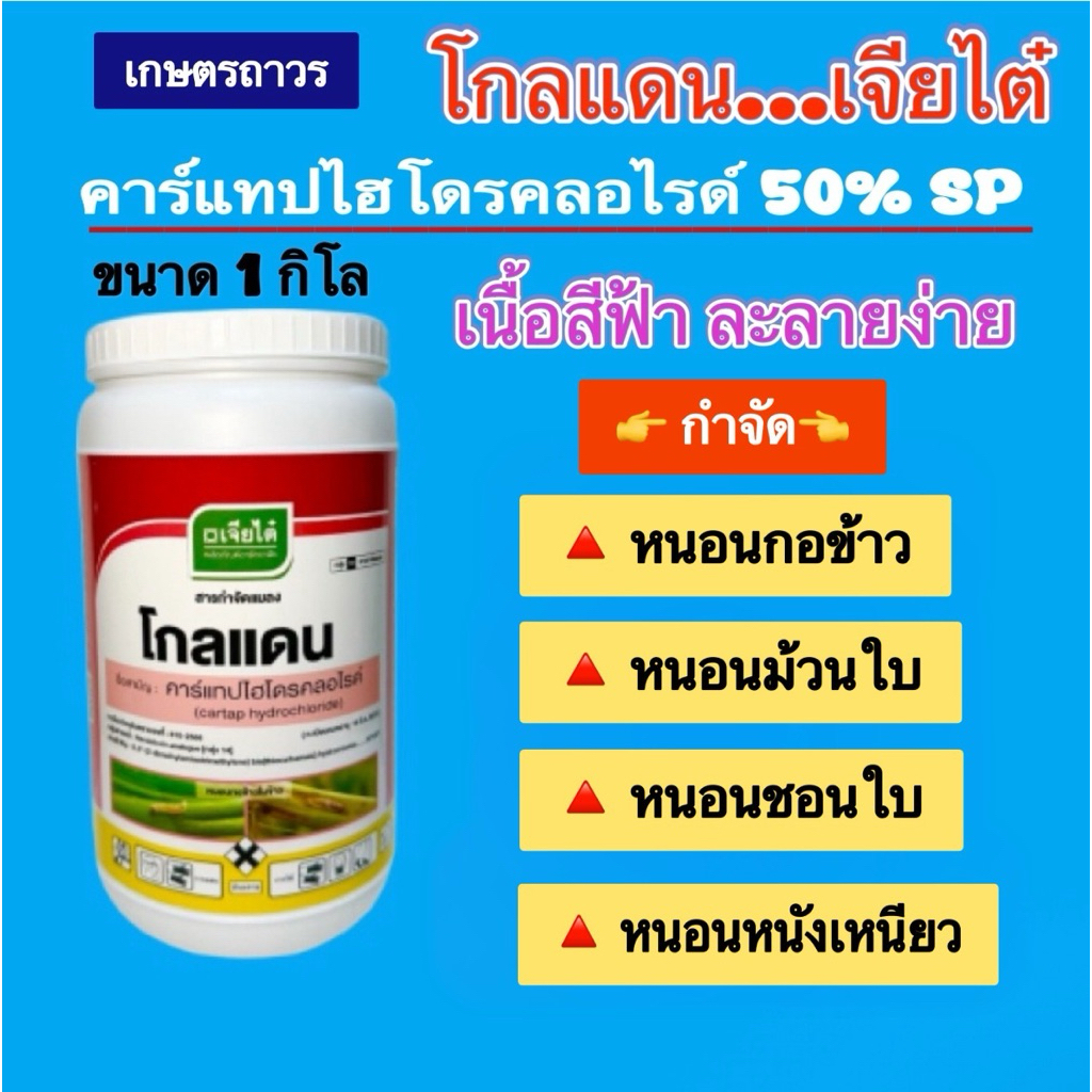 โกลแดนสารคาร์แทป 50%SP ยาหนอนกอ ขนาด1 กก เนื้อสีฟ้า ละลายง่าย ยาผลิตใหม่ไม่ชื้นแฉะ ไม่จับเป็นก้อน