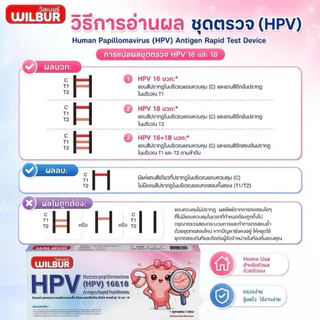 [รุ่นใหม่!]WILBUR ชุดตรวจ HPV สำหรับคัดกรองปากมดลูก ตรวจได้ 9 สายพันธ์ L1 E7 16 18 6 11 หูดหงอนไก่