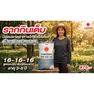 16-16-16+Biostimulant บำรุงทุกส่วนจากดวงตะวันเพชรขนาด25กก.