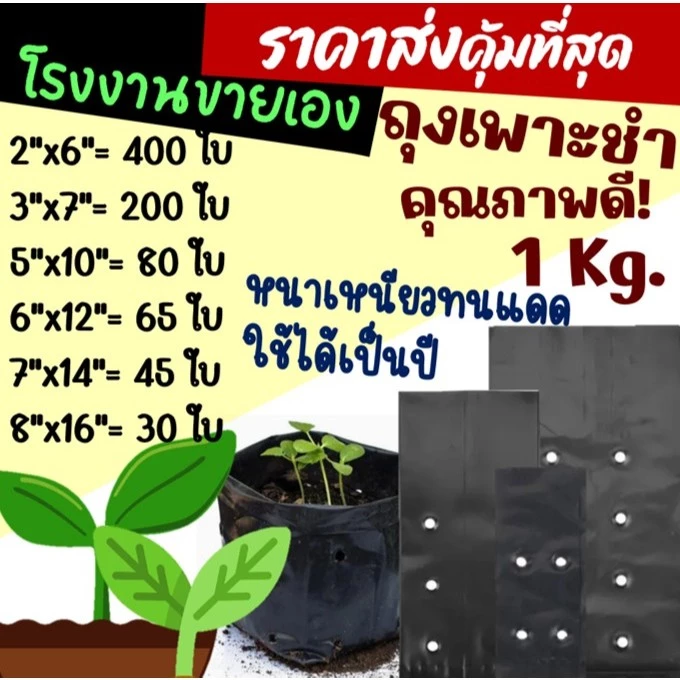 ถูกมากกก🔥 โรงงานถุงขายเอง‼️ถุงเพาะชำ ถุงเพาะต้นกล้า เพาะต้นไม้ สีดำ เจาะรู หนาเหนียวทนทาน