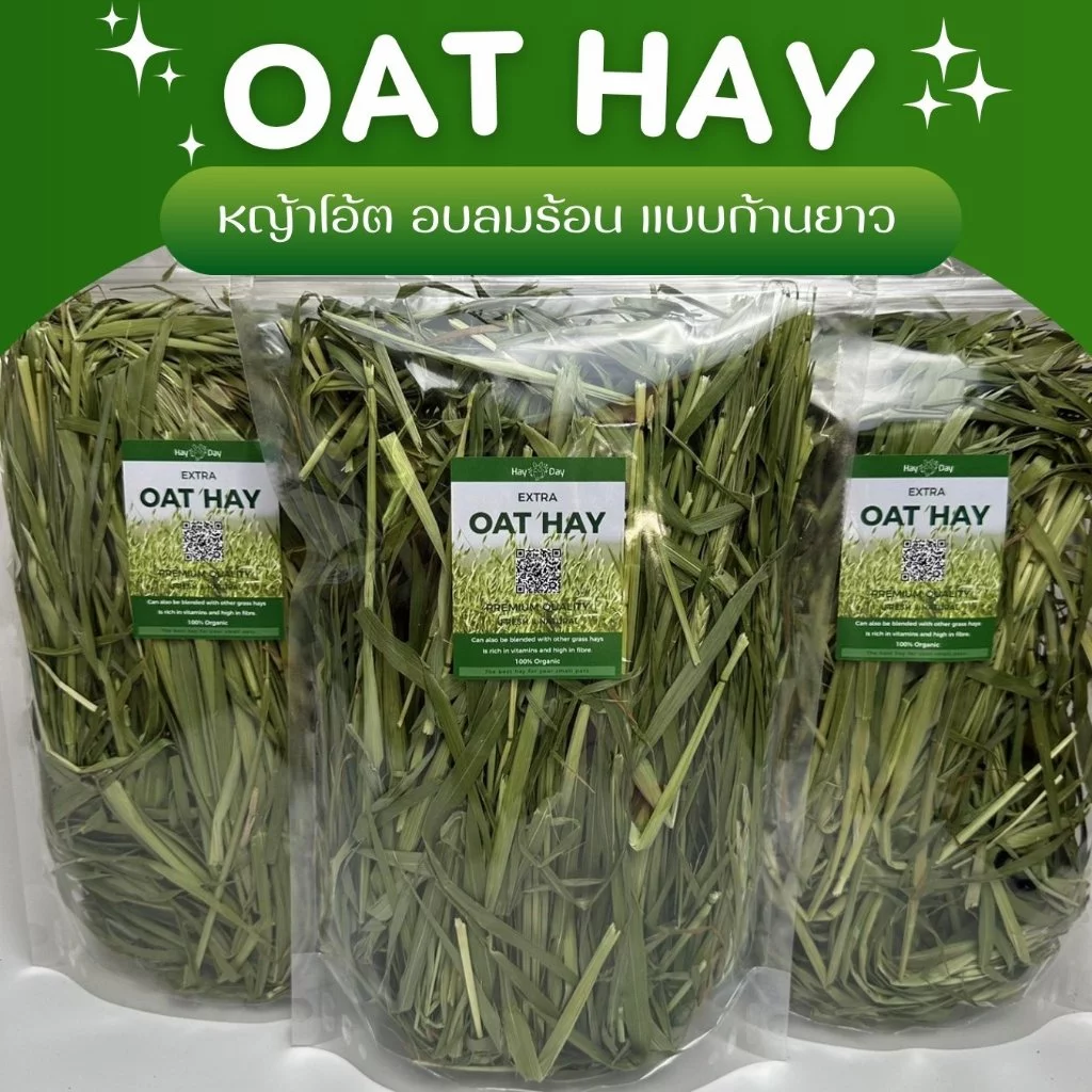 ✿หญ้าโอ้ต✿ OAT ก้านยาว โอ๊ตก้านยาว อบลมร้อน คัดพิเศษ เกรดพรีเมี่ยม สำหรับกระต่ายและสัตว์ฟันแทะทุกชนิด