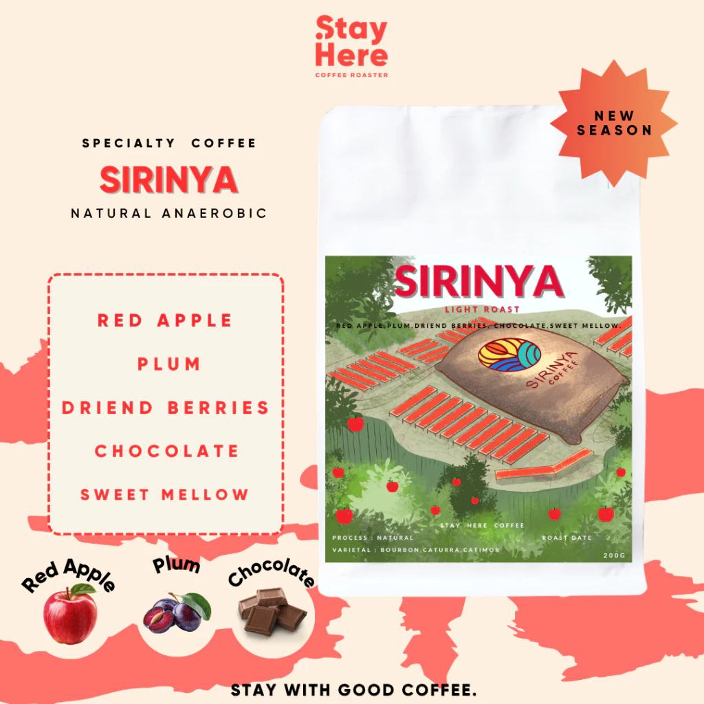 เมล็ดกาแฟคั่วอ่อน SIRINYA (Natural)