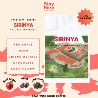 เมล็ดกาแฟคั่วอ่อน SIRINYA (Natural)