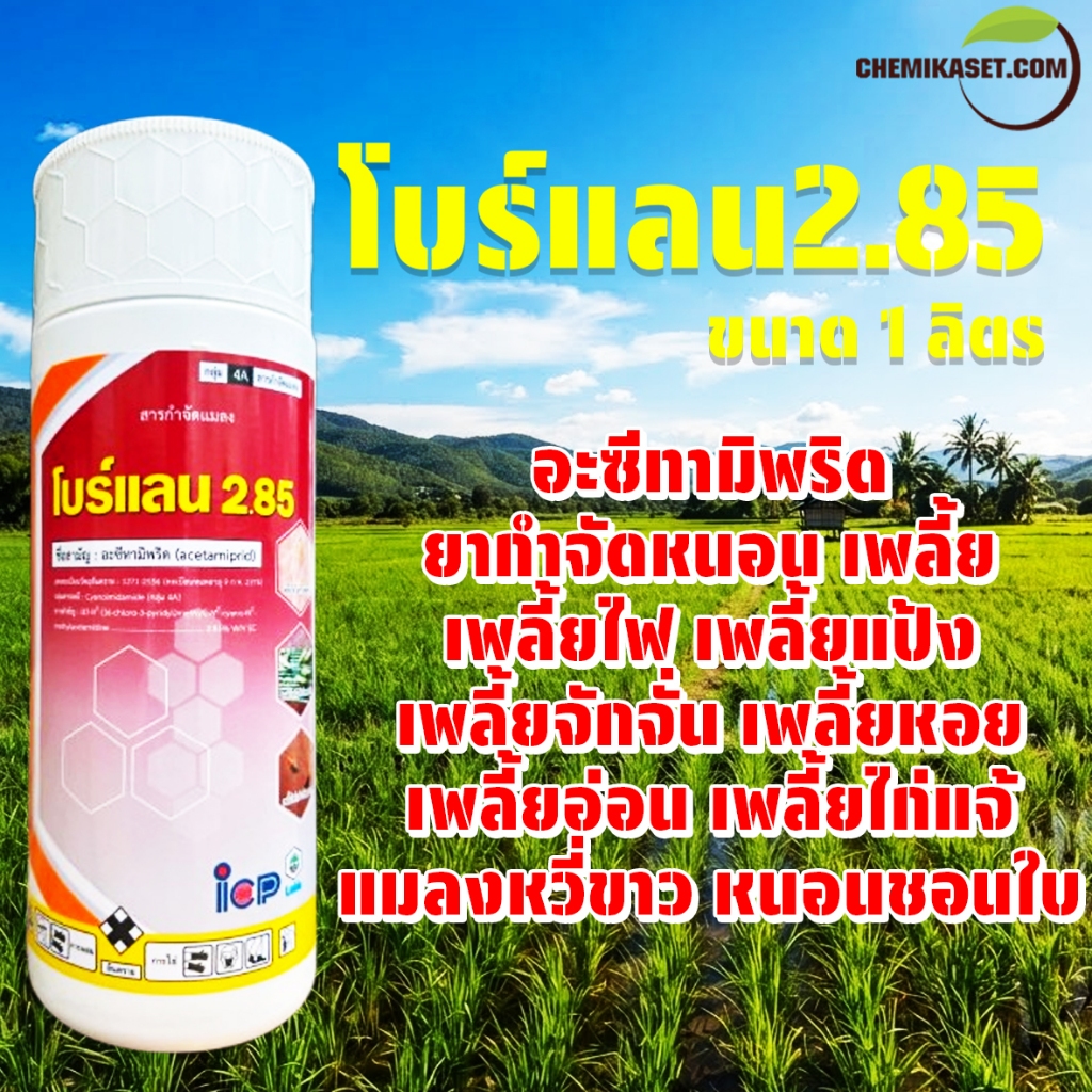 โบร์แลน 285 ขนาด 1 ลิตร อะซีทามีพริด ป้องกันกำจัดเพลี้ยไฟ เพลี้ยแป้ง แมลงหวี่ขาว เพลี้ยจักจั่น