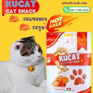 *40g.* KUCAT STICKS รสแซลมอน