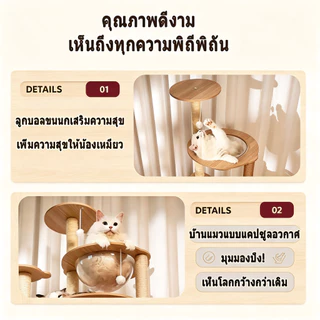 คอนโดแมว 2 หลุมอวกาศ 96CM ไม้พรีเมียม หลุมใส 360° แข็งแรง สำหรับแมว 1-2 ตัว