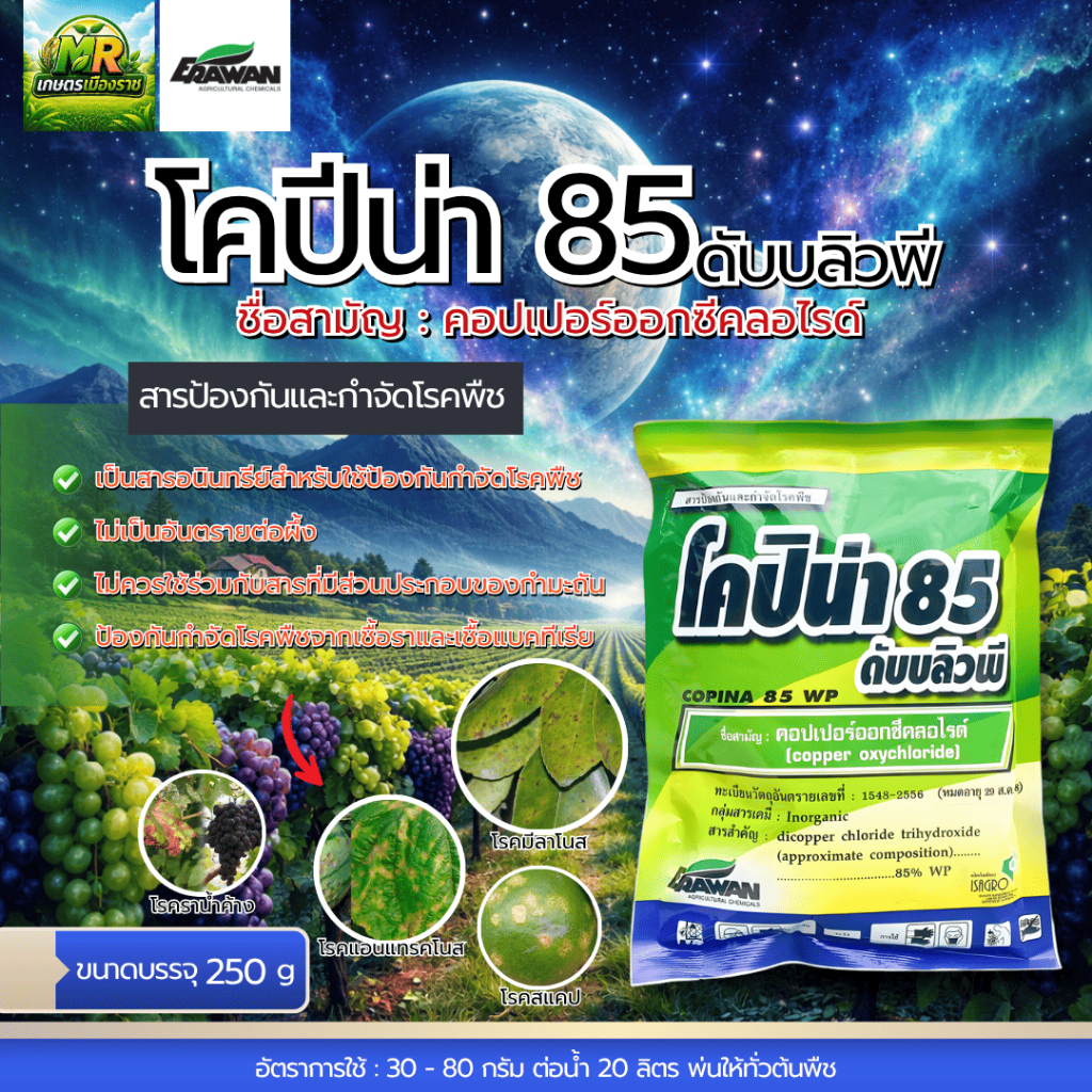 โคปิน่า 85 ดับบลิวพี (เนื้อเขียว) (คอปเปอร์ ออกซีคลอไรด์ 85% WP) 250g #เกษตรเมืองราช #เอราวัณ