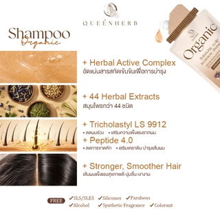 QUEENHERB ORGANIC OILY SCALP & ANTI HAIR LOSS ควีนเฮิร์บ ออร์แกนิก บาลานชิ่ง สคับ ทรีทเม้นท์ แชมพู