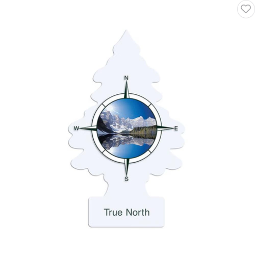 แผ่นหอมปรับอากาศ LITTLE TREES 0.02 กรัม TRUE NORTH