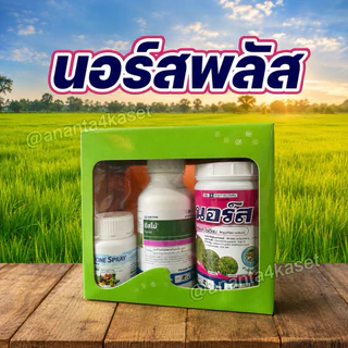 นอร์สพลัส (นอร์ส100กรัม+ซิสโม่500มล+โดรนสเปรย์100มล) สารกำจัดวัชพืชในนาข้าว