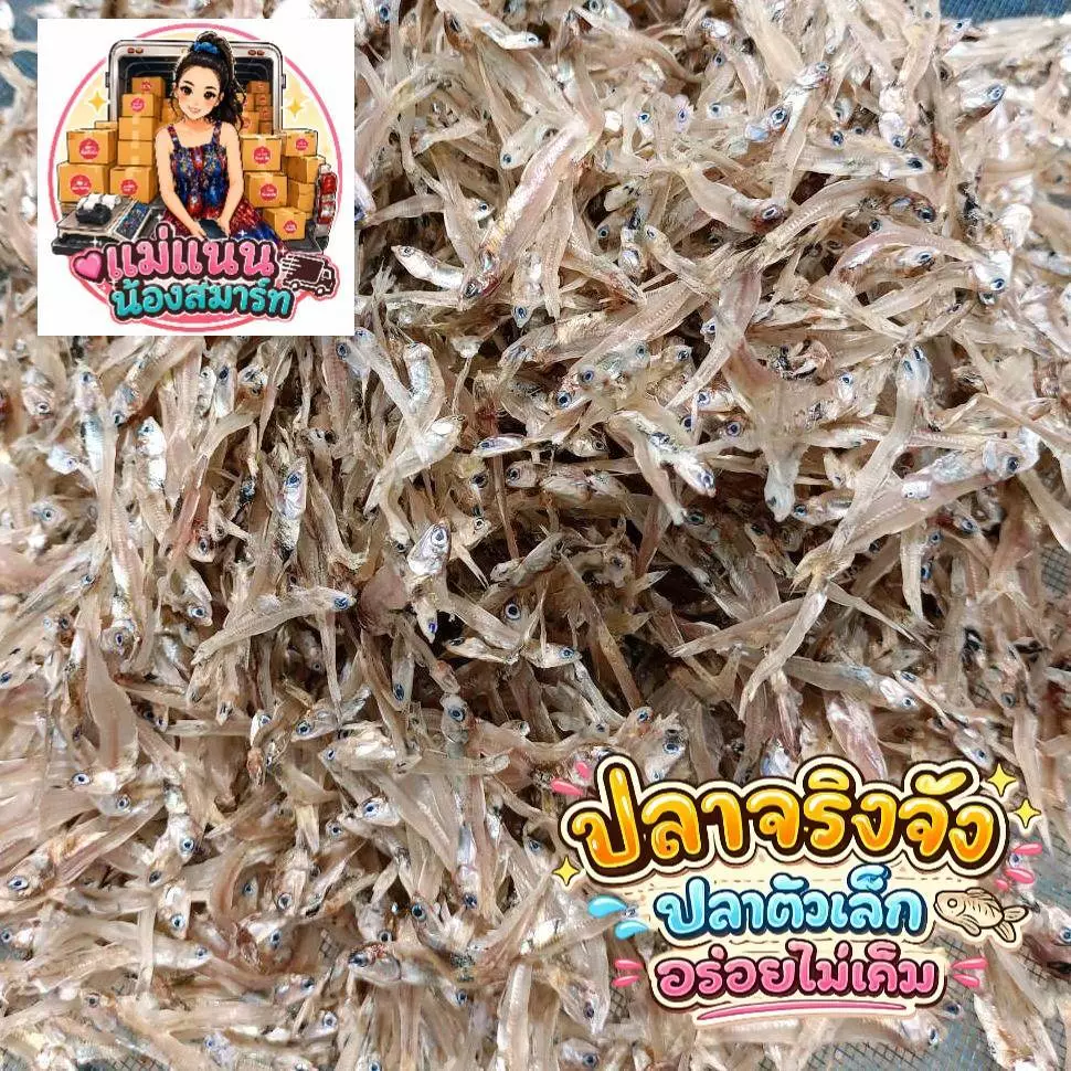 ปลาจิ้งจั้ง ปลาแคลเซียม อร่อย น้ำหนัก 500 กรัม