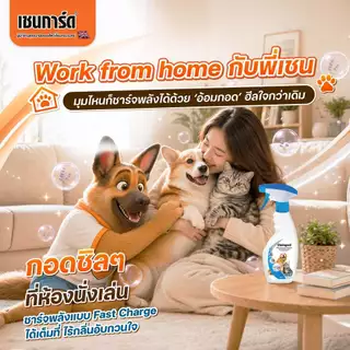 Chaingard เชนการ์ด สเปรย์ดับกลิ่น กลบกลิ่น ขนาด 500ml ใช้ดับกลิ่นกระบะทราย ดับกลิ่นที่นอนสัตว์เลี้ยง