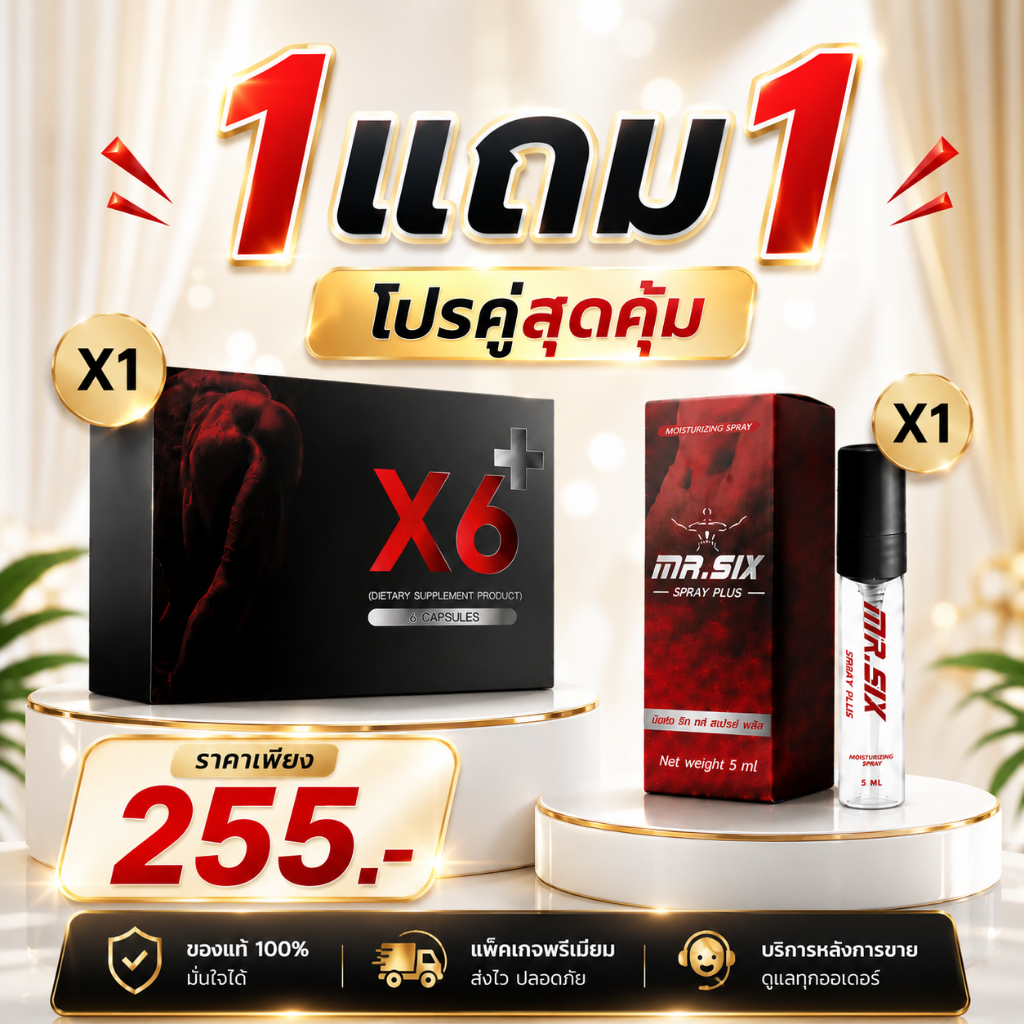 โปรคู่สุดคุ้ม X6 X Mister six spray