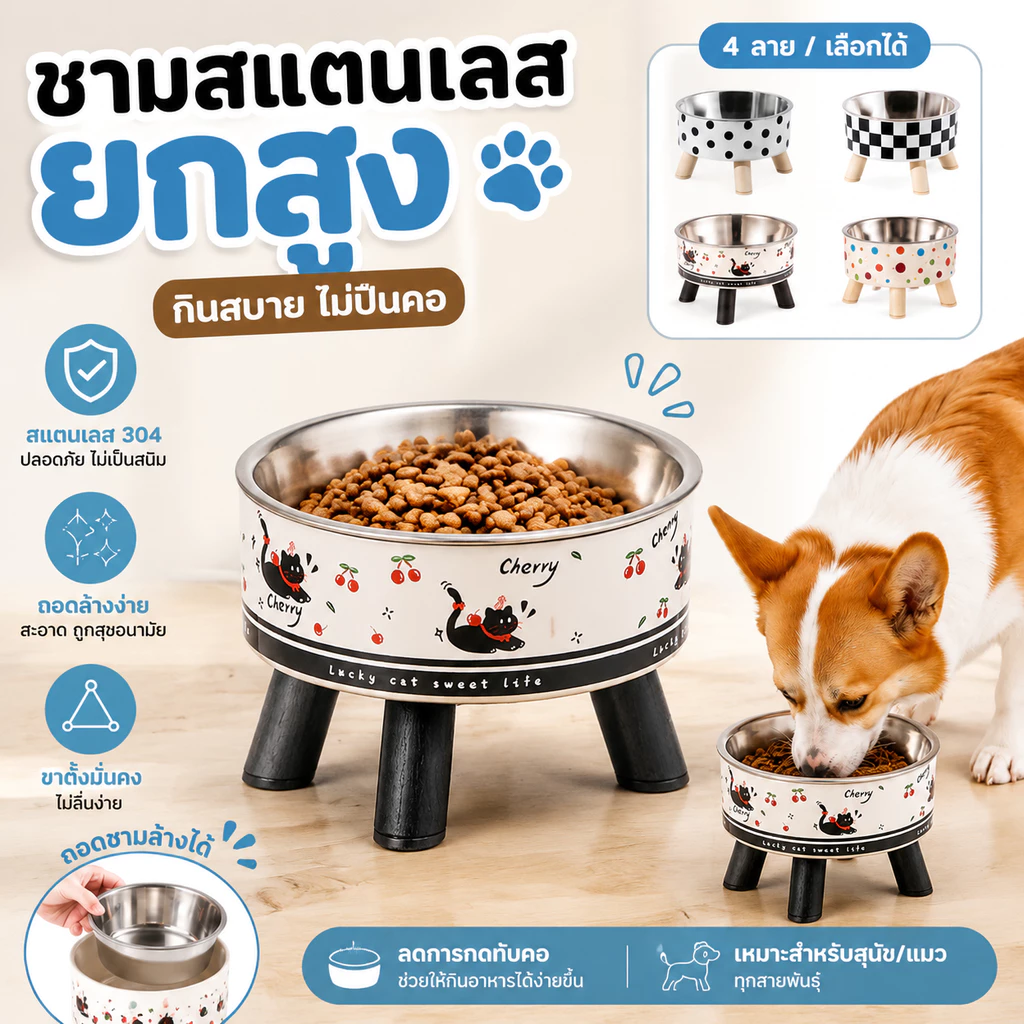 ชามสัตว์เลี้ยงสแตนเลส 304 ยกขาสูงปกป้องคอ ขอบยางกันลื่น ถอดชามล้างง่าย สต็อกพร้อมส่ง สำหรับแมวสุนัขตัวเล็ก