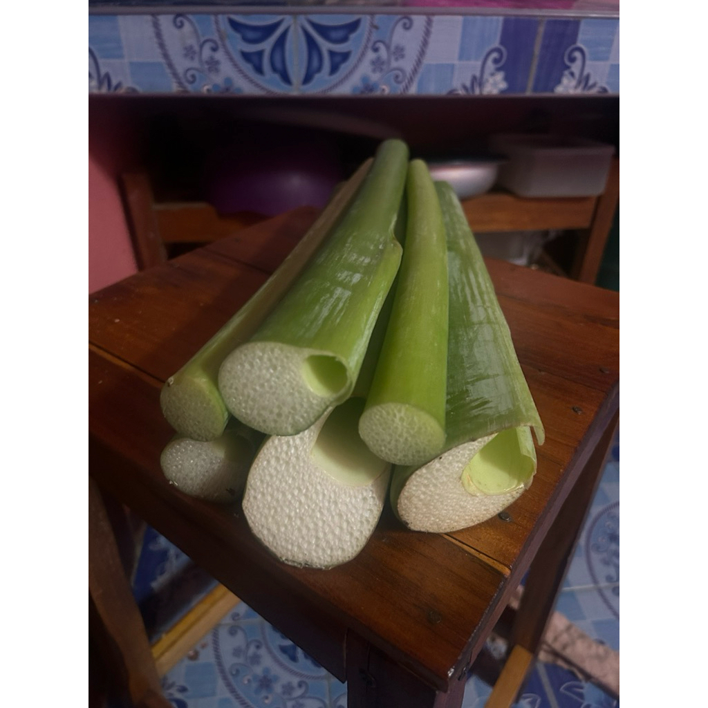 อ้อดิบ ก้านตูน ก้านทูน เก็บสดๆ ปลอดสารพิษ2กำมือ49บาท รูปที่ 4