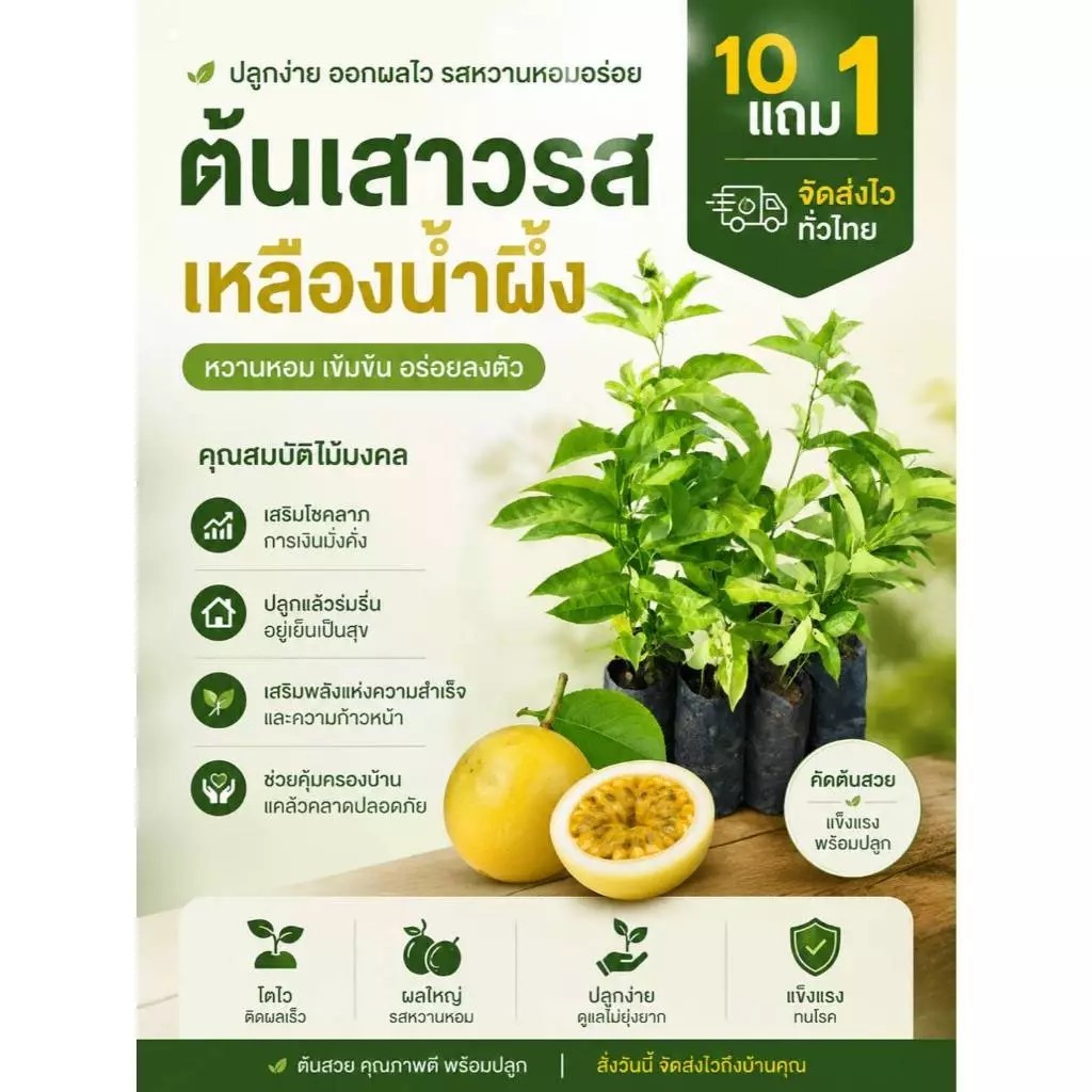 ต้นเสาวรสเหลืองน้ำผึ้ง ต้นไม้ ผลไม้ เสาวรส ผักสวนครัว วิตามินซี ดิน ปุ๋ย กระถาง เพาะเมล็ด ต้นพันธุ์ เมล็ดพันธุ์ ต้นกล้า