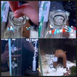 ท่อให้อาหารกุ้ง จานอาหารกุ้ง หลอดให้อาหารกุ้ง จานกุ้ง Shrimp Feeding Food Tube Suction Cup | บ้านไม้น้ำ🌿