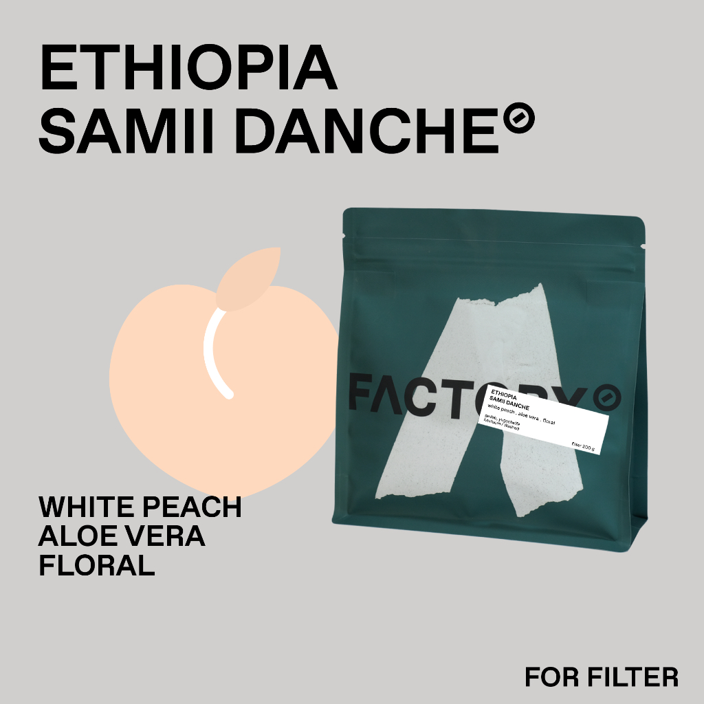 Factory Coffee เมล็ดกาแฟ Ethiopia - Samii Danche (Heirloom) l Washed Process (บรรจุ200g)