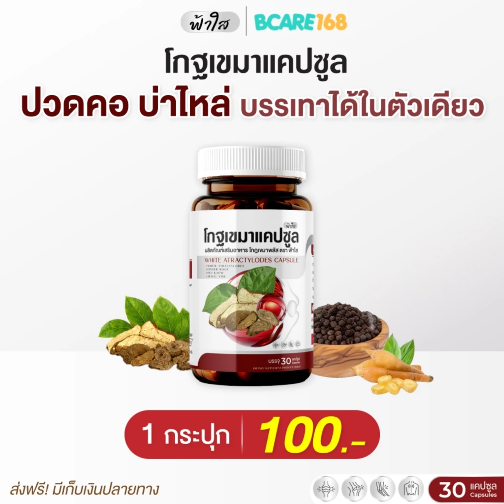 โกฐเขมาฟ้าใส บำรุงข้อเข่า กระดูกทับเส้น แก้ปวดเมื่อยร่างกาย เหน็บชา : 1 กระปุก