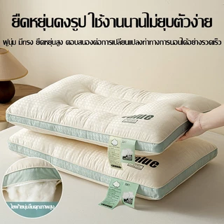 หมอน ลดการนอนกรน รองรับน้ำหนักได้ดี หลับลึกขึ้น หมอนเพื่อสุขภาพ ลดอาการปวดคอ ป้องกันไรฝุ่นและแบคทีเรีย หมอนเพ
