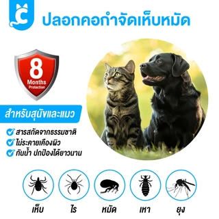 [ส่งฟรี🇹🇭] CleverPet ปลอกคอกไล่เห็บหมัด สำหรับแมวและสุนัข ใช้งานได้นานถึง 8 เดือน ปลอดภัย ไล่แมลง Tick Collar