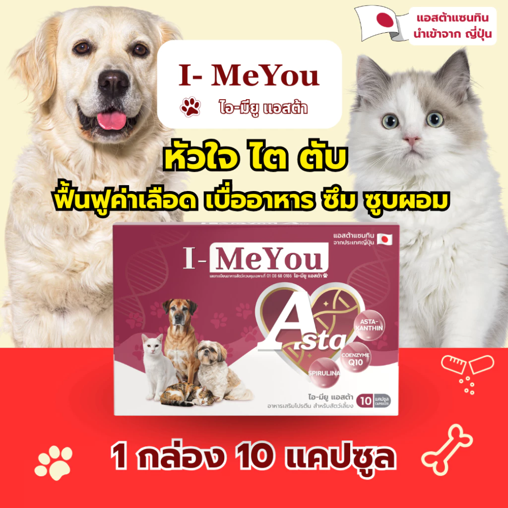 [ชุดทดลอง 1 กล่อง 10 แคปซูล] ไอ-มียู (แอสต้า) ฟื้นฟูไตทุกระยะ น้องหมา&น้องแมว แข็งแรง สดใส ค่าไตลดลง