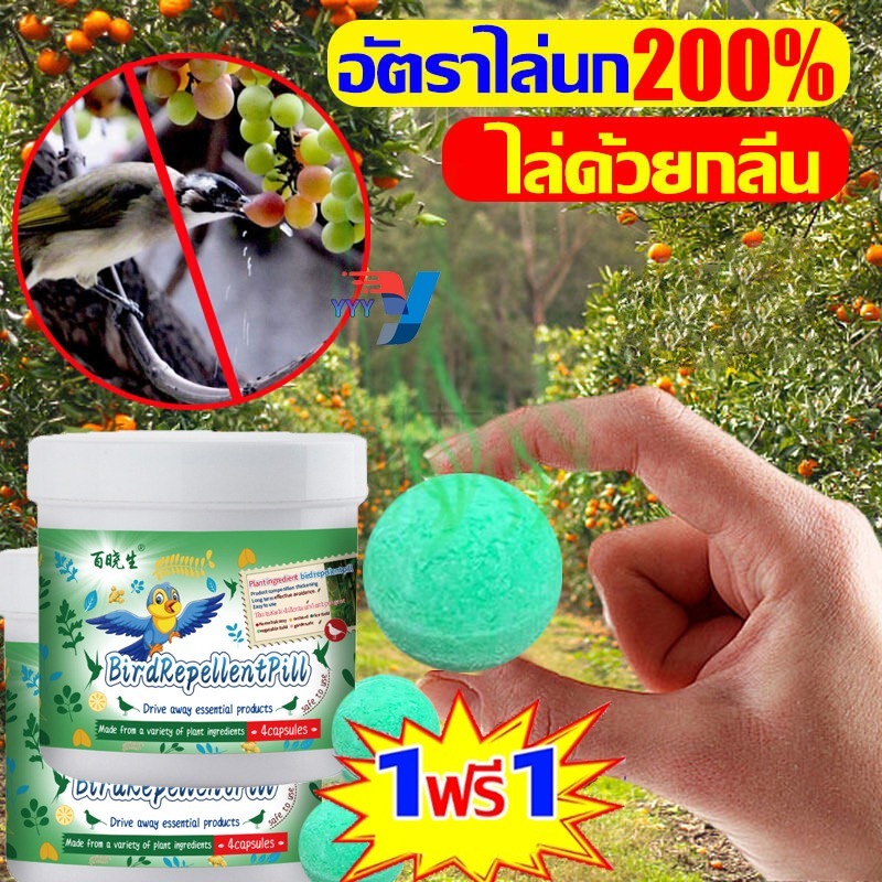 10,000 เมตรไม่มีนกSectionyoudaoplaceholder 0 ตัวป้องกันนก, ตัวป้องกันนก, นกไล่ผี, นกพิราบ. นาโอมิ มาเชล เดโมกอร์ก้อน