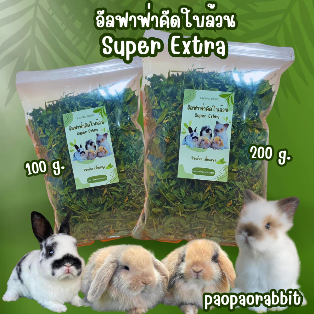 อัลฟาฟ่าคัดใบล้วน เกรดที่ดีที่สุด ไม่มีฝุ่น ใบเขียวสวย