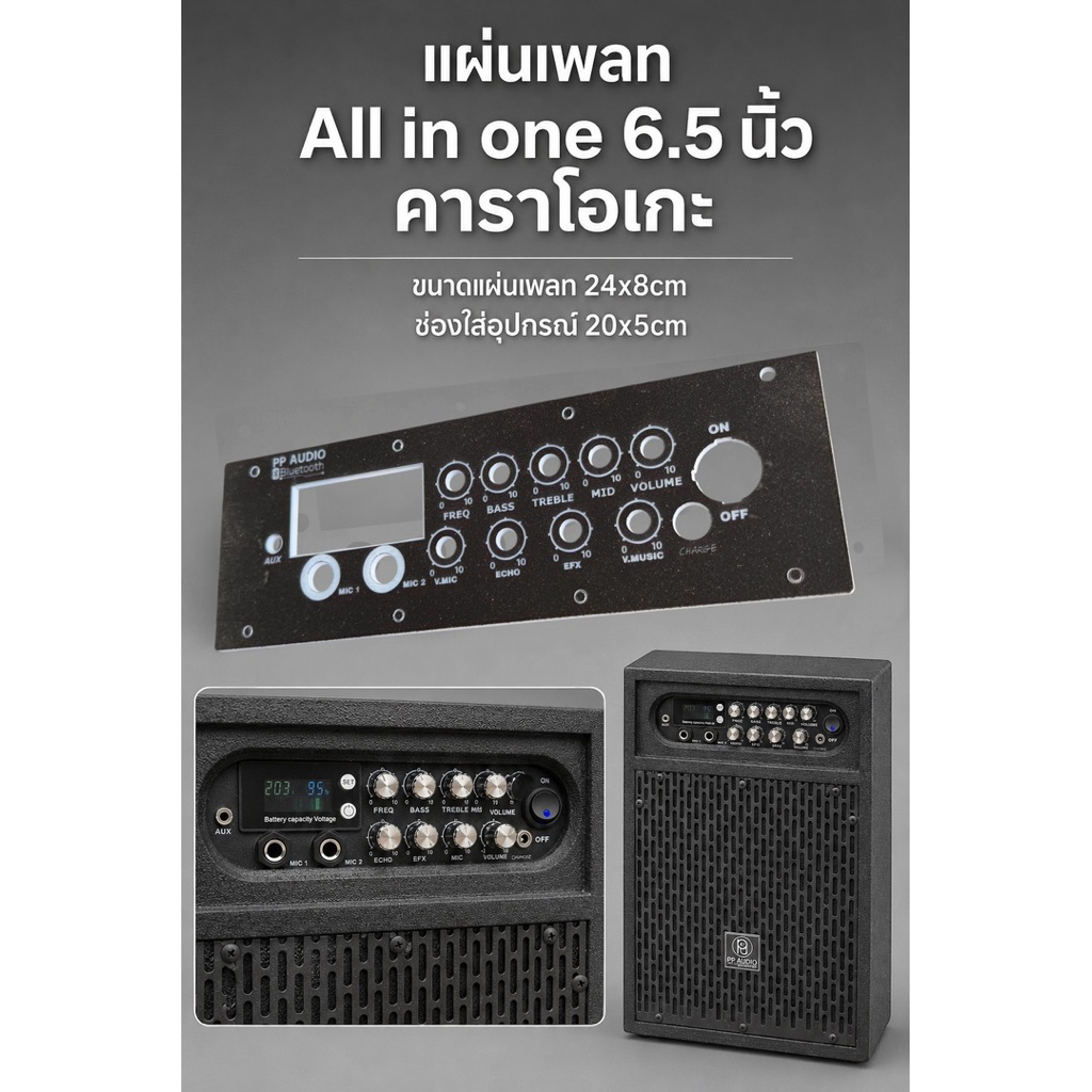 🎤 แผ่นเพลท All in One 6.5 นิ้ว คาราโอเกะ PP AUDIO