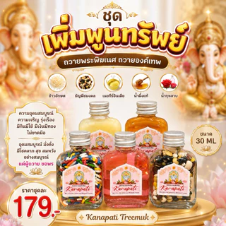 เซตเพิ่มพูนทรัพย์ ถวายองค์เทพ