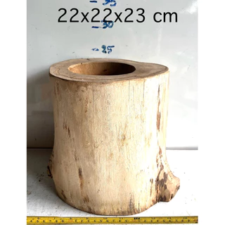 ตอไม้ ที่นอนชูก้า driftwood ตอไม้แต่งสวน