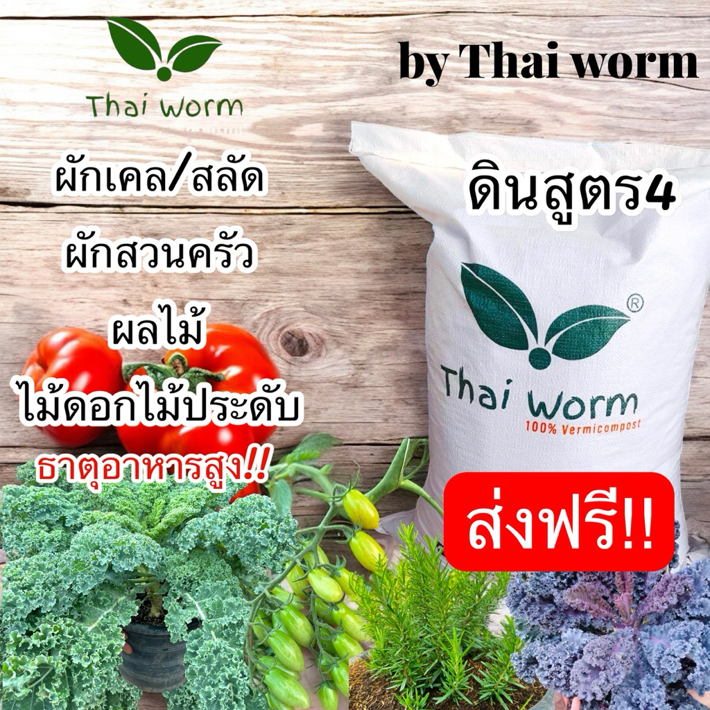 ส่งฟรี‼️ดินปลูกผักสวนครัว เคล ผักสลัด ไม้ผลมีสารอาหารสูง(ดินสูตร4)  Thai worm สลัด สวนครัว ผลไม้ ไม้ดอกไม้ประดับทั่วไป