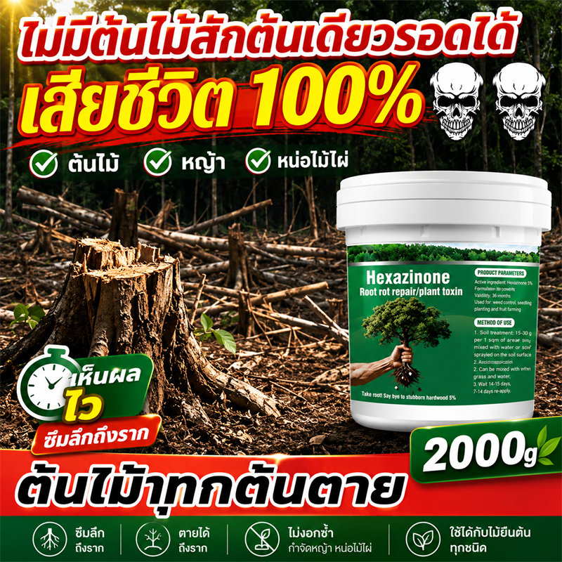 ✅ รากเน่าอย่างรวดเร็ว 9999% ✅ ยากำจัดต้นไม้ใหญ่ 500g สารกำจัดกอไผ่ ผงกำจัดต้นไผ่ ยาฆ่าตอไม้ กำจัดวัชพืชรากเน่า