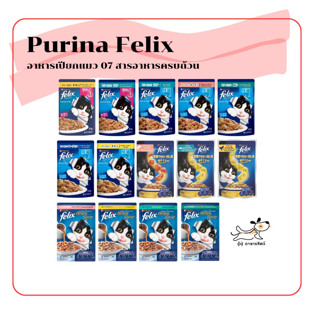purina felix อาหารเปียกแมวที่อร่อยเกินเจ้าตัวแสบห้ามใจ