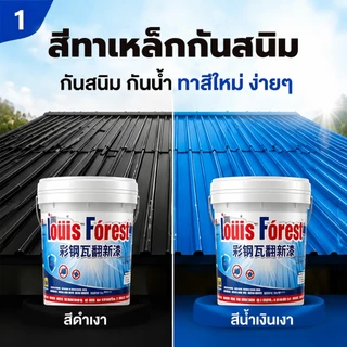 สีทาเหล็ก สีทาโลหะ สีรีโนเวทเหล็ก สีกันสนิม กันน้ำ กันแดด แห้งเร็ว ไม่ต้องขัด หลังคาเมทัลชีท ประตู รั้วเหล็ก