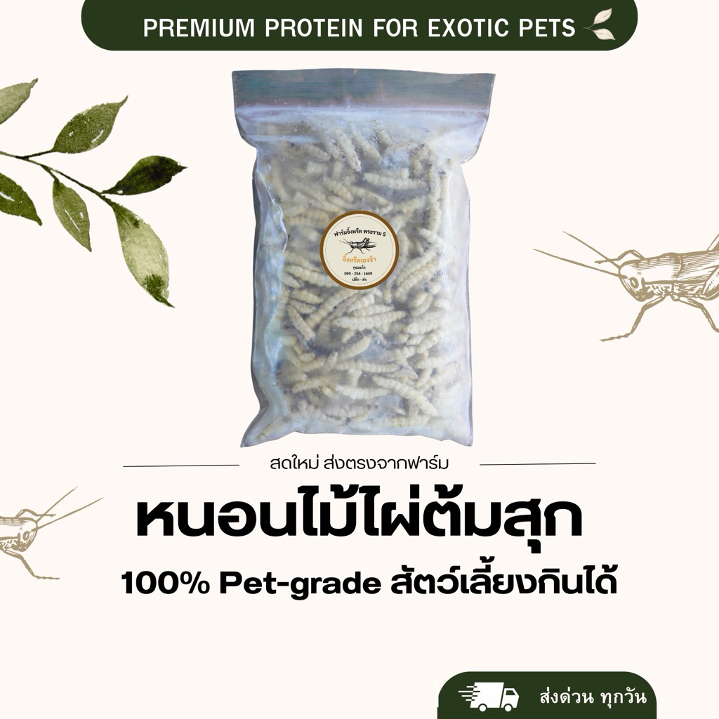 รถด่วนธรรมชาติ ไม่ปรุงรส คนทานได้ สัตว์เลี้ยงทานได้
