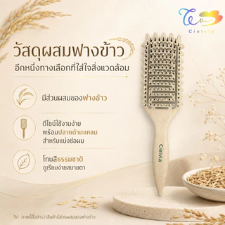 Cielvia หวีแปรงจับลอน ด้ามแหลมหลังโปร่ง หวีแปรงยกโคนสำหรับคนดัดผม