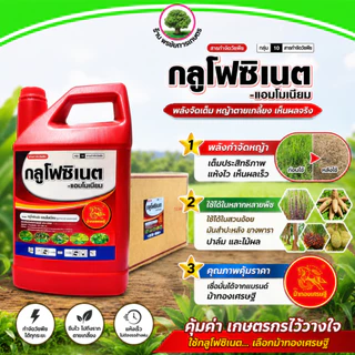 กลูโฟซิเนต ตราม้าทองเศรษฐี ขนาด 4 ลิตร (แกลลอนแดง) *ยกลัง* มี 6 แกลลอนใหม่-น้ำเขียว